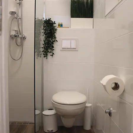 Apartment Ogi *